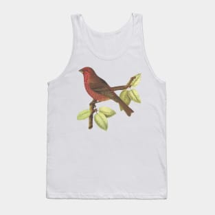 Cute birds #1 Tank Top